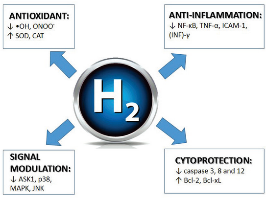 Hydrogen Anti Oxidant Anti Inflamation